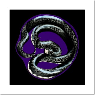 Black rat snake Posters and Art